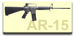Semi auto rifle